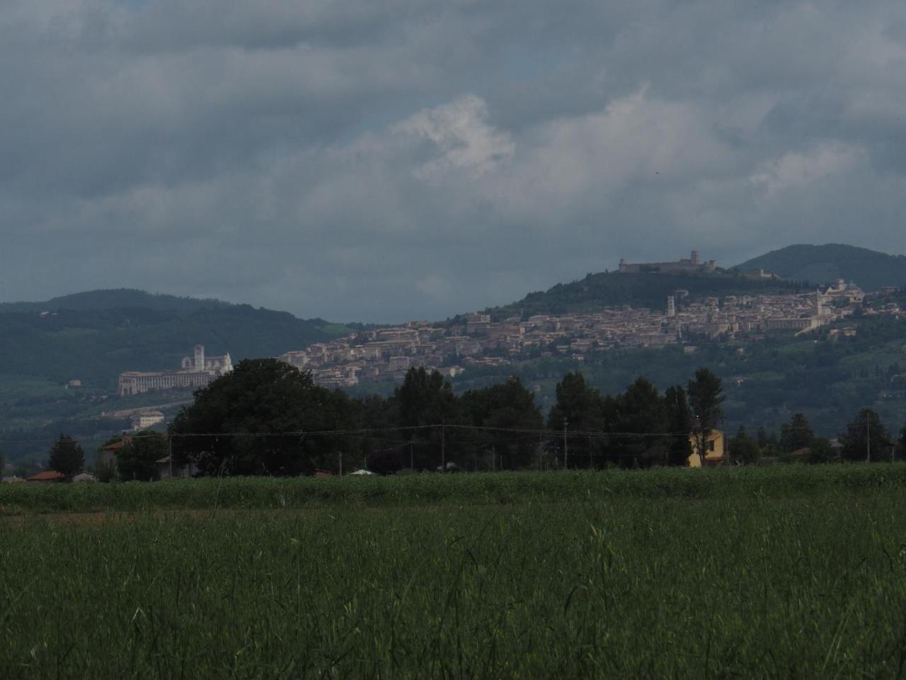 Villa Agriturismo La Semente Spello Exterior foto